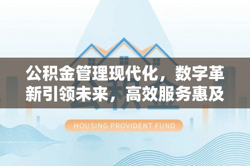 临桂公积金管理现代化，数字革新引领未来，高效服务惠及民生