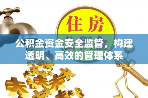 临桂公积金资金安全监管，构建透明、高效的管理体系