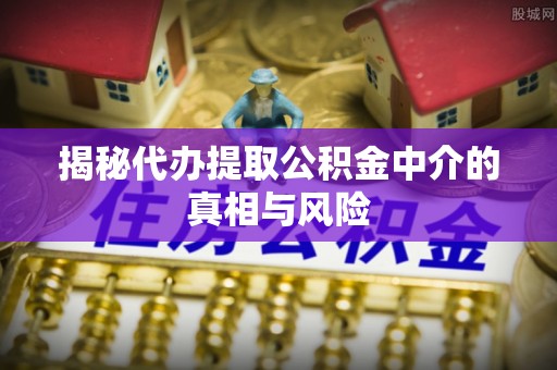 临桂揭秘代办提取公积金中介的真相与风险